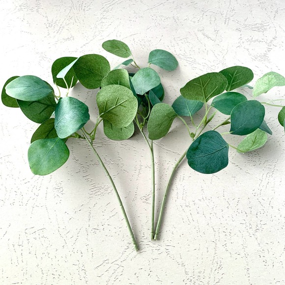 Eucalyptus Pick for Photography - Artificial - Set of 3 - Picture 2 of 2